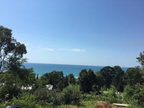 Сухум: Solnechny Holm Guest House