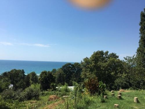 Сухум: Solnechny Holm Guest House