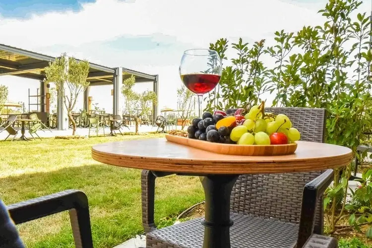 Зейтинликой: Kotinos Beach Hotel