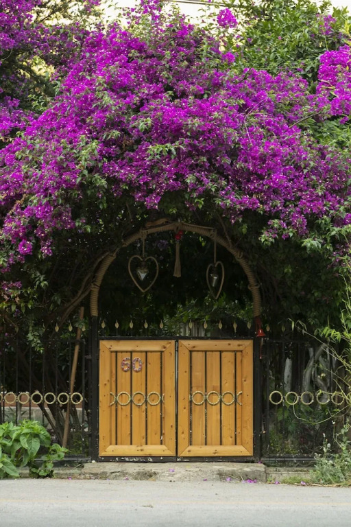 Чиралы: Gayb-I Boutique Home