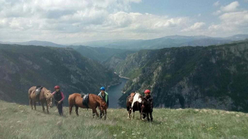 Плужине: Guesthouse Madzarevic