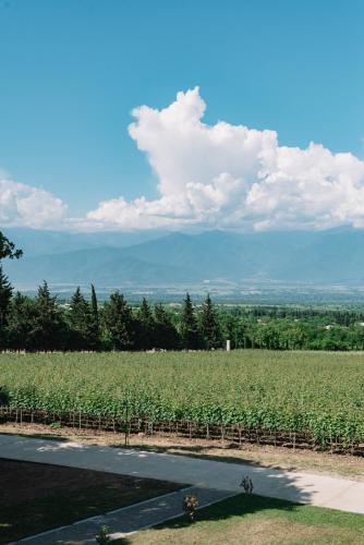 Телави: Vazisubani Estate