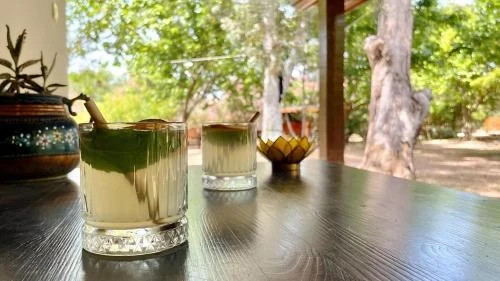 Чамьюва: Maki Inn Çirali