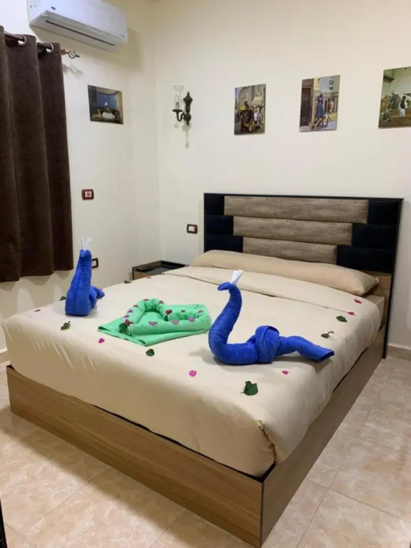 Марса Алам: Reef House