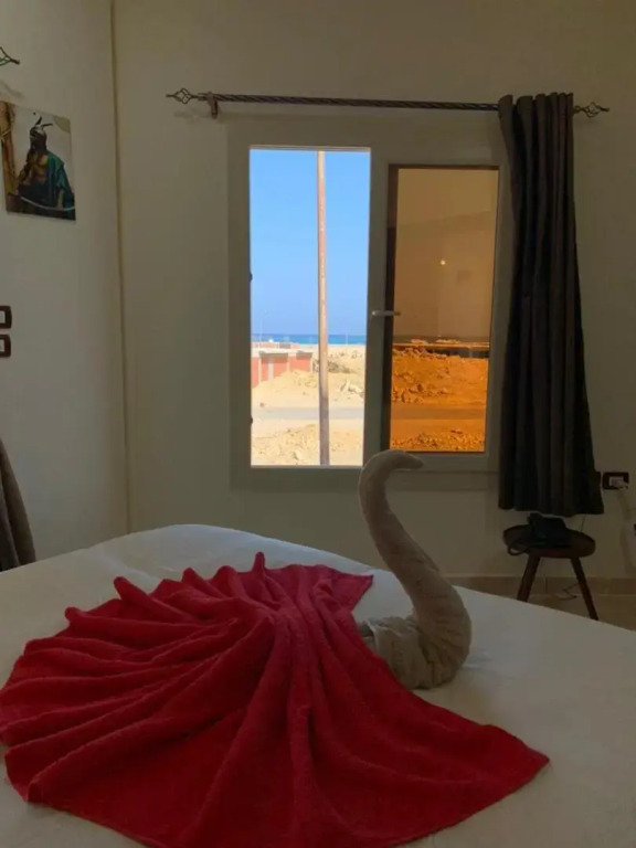 Марса Алам: Reef House
