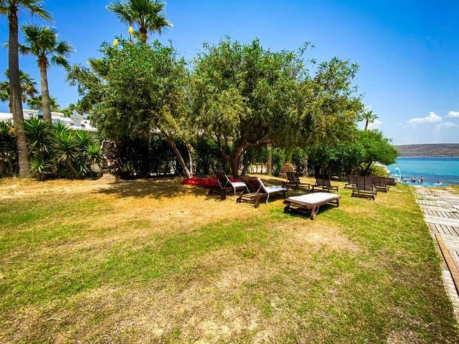 Чешме: Ion Club Windsurf Beach