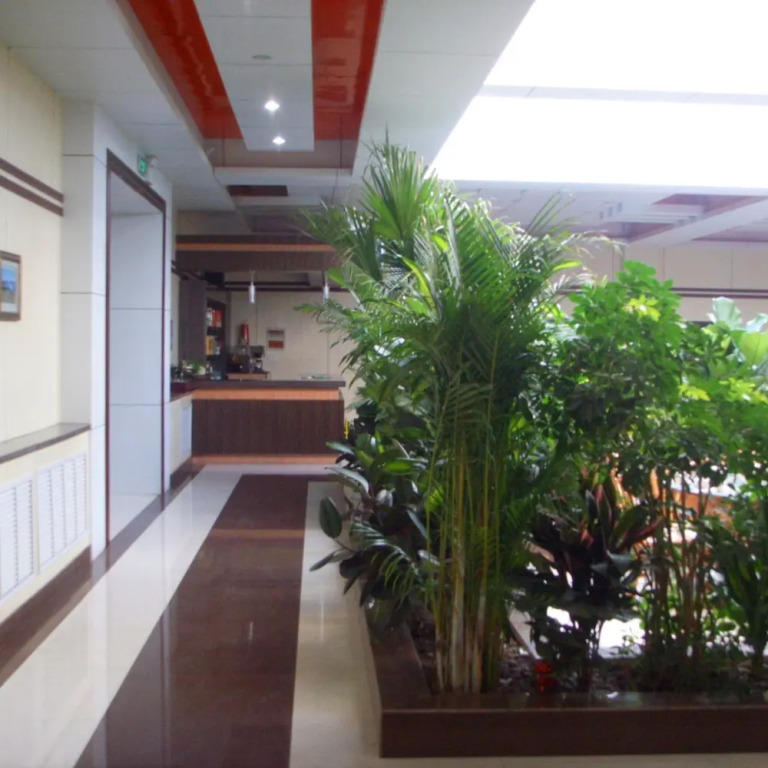 Харбин: Lanyin Hotel