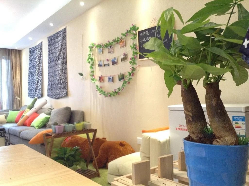 Гуйян: Guiyang That Year Of February Youth Hostel