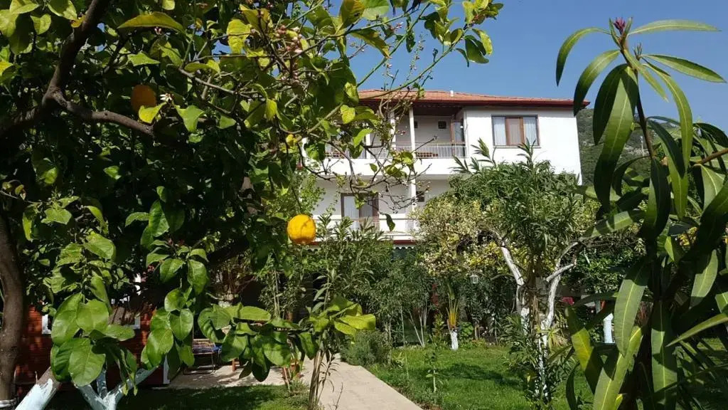 Чиралы: Ayris Hotel
