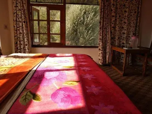 Пахалгам: Hotel Diamond Palace