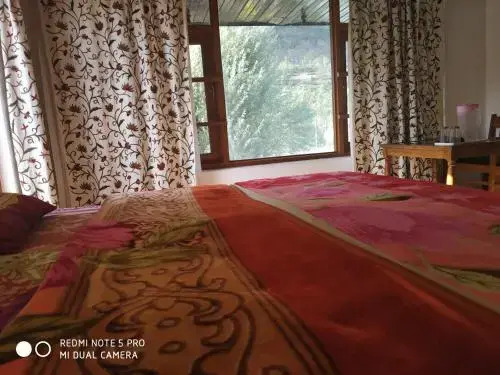 Пахалгам: Hotel Diamond Palace
