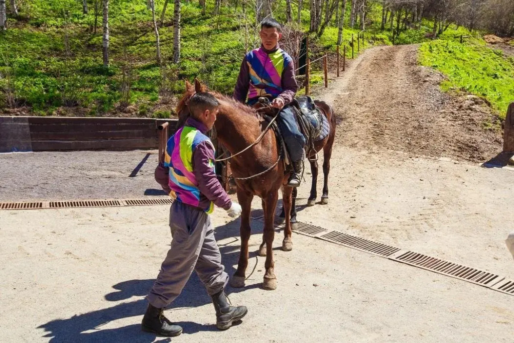 carousel image 2