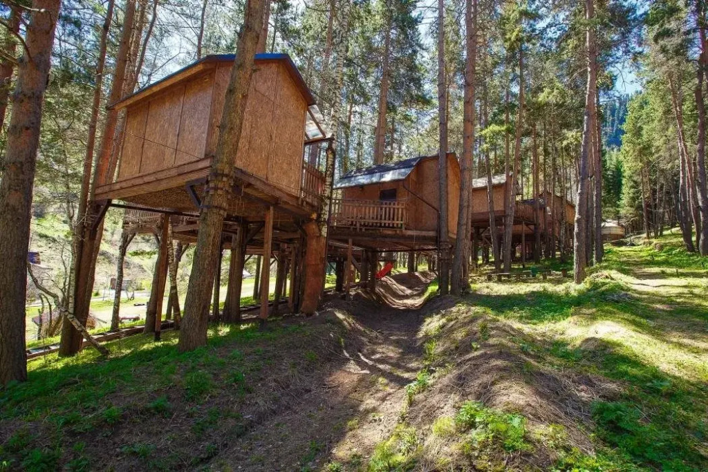Бескайнар: OI-Qaragai Lesnaya Skazka