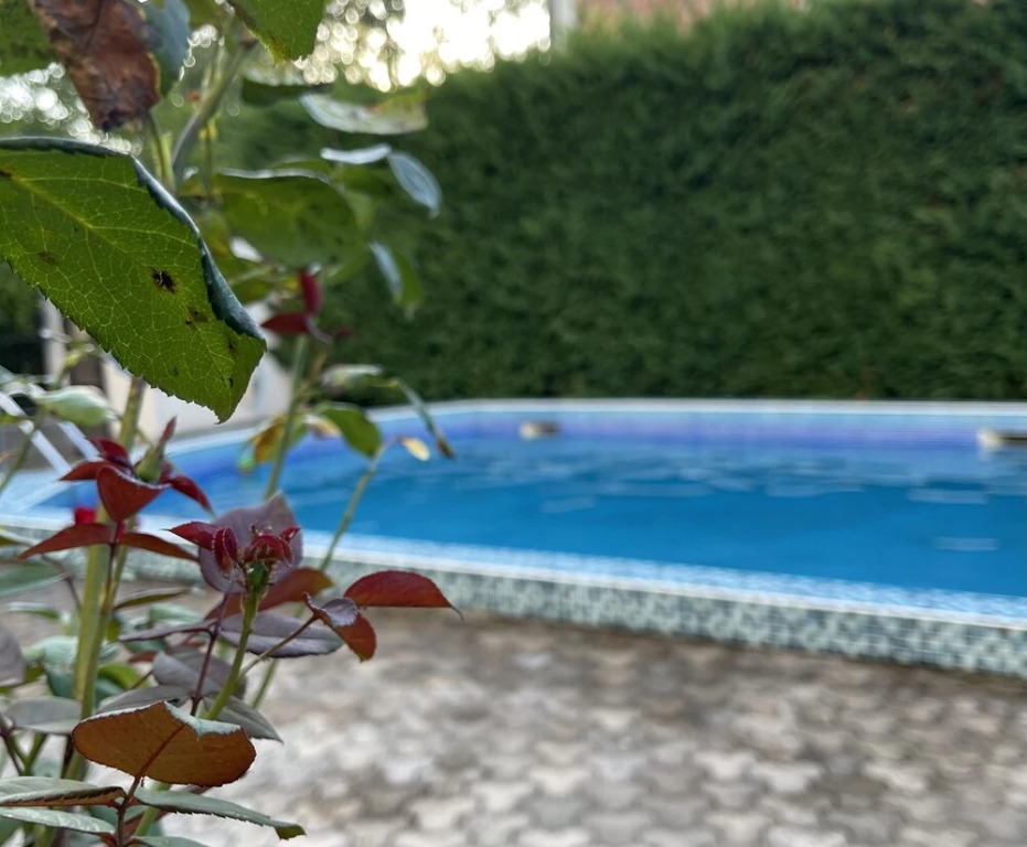 Бар: 3 Bedroom Apartment With Pool