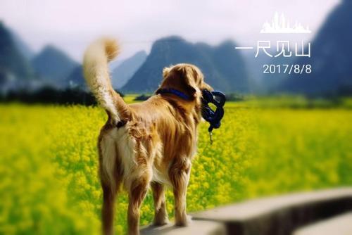 Синъи: Xingyi Wanfeng Lin Jianshan Guest House
