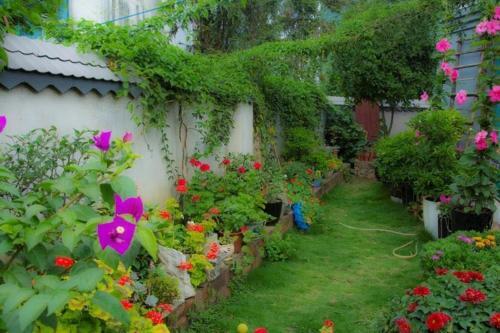 Синъи: Xingyi Wanfeng Lin Jianshan Guest House