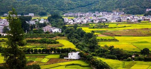 Синъи: Xingyi Wanfeng Lin Jianshan Guest House