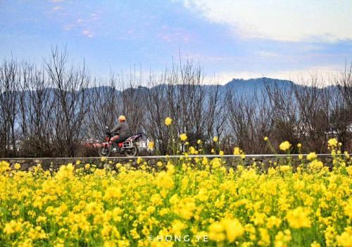 Синъи: Xingyi Wanfeng Lin Jianshan Guest House