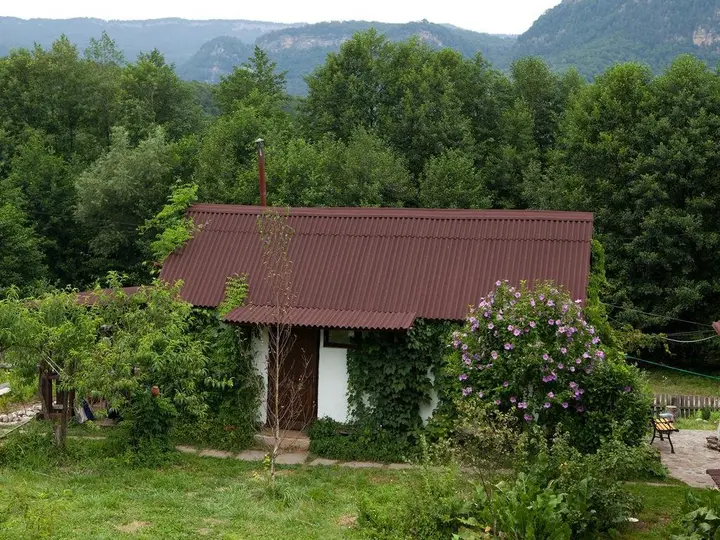 Хамышки: Gostevoy Dvor Dvenadtsat Mesyatsev