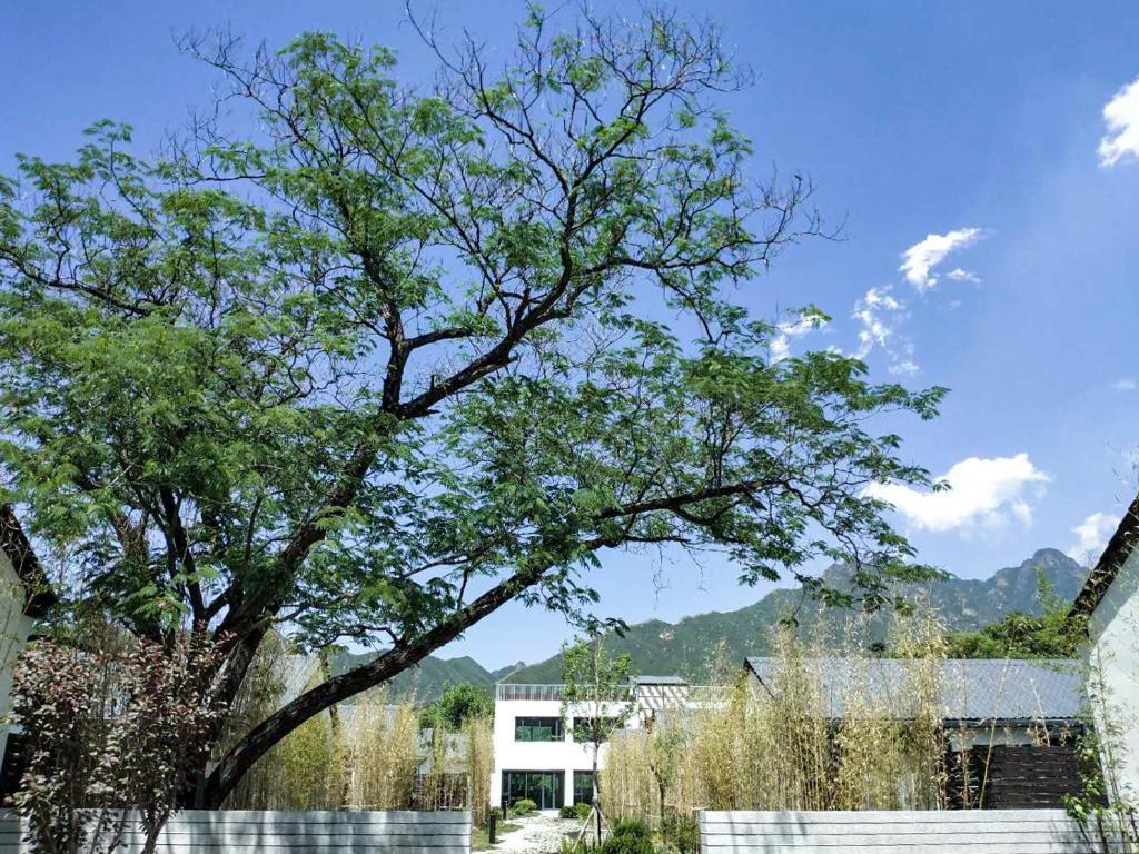 Пекин: Manlu Guesthouse Near Great Wall