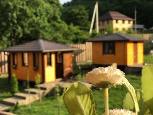 Хамышки: Grand House Hotel