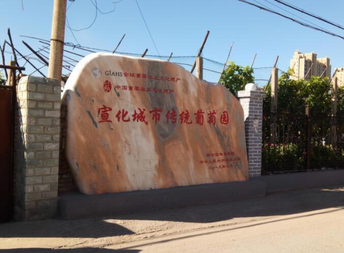 Чжанцзякоу: 7Days Premium Zhangjiakou Xuanhua Bell Tower High Speed Railway Station Branch