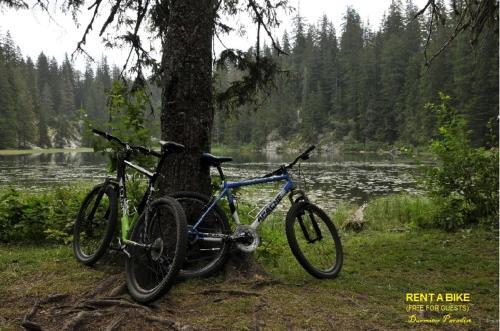 Жабляк: Guest House Durmitor Paradise