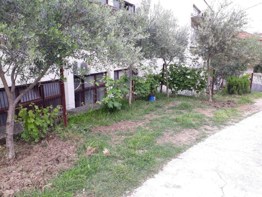 Ульцинь: Apartments Kollari