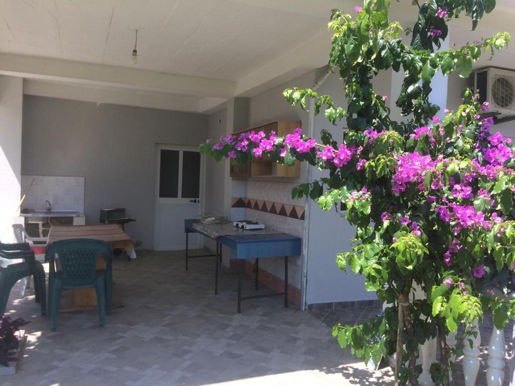 Ульцинь: Apartments Kollari