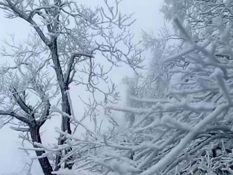 Хуаншань: Greentree Inn Huangshan City Huangshan Scenic Area