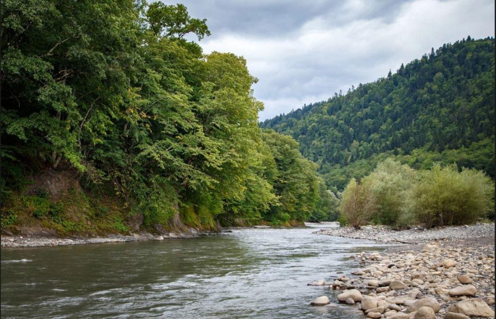 Гузерипль: Горный воздух на Полевой