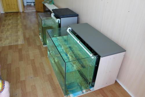 Каменномостский: Resort Kedroviy Bor