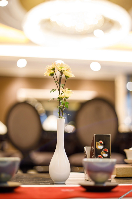 Чэнду: Chengdu Boyun Jinjiang Hotel