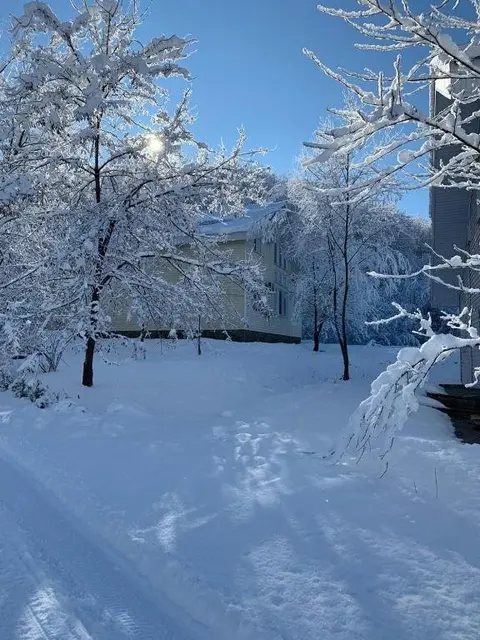 Никель: Шале Золотой родник