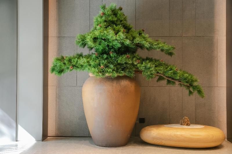 Пекин: Ji hotel (Sanyuan Xiqiao, Beijing International Ex