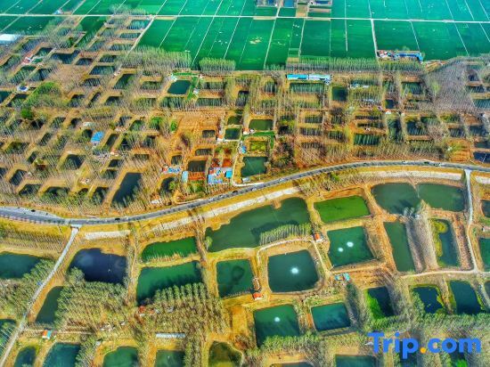 Цзинин: Hampton by Hilton Jining  Innovation Valley