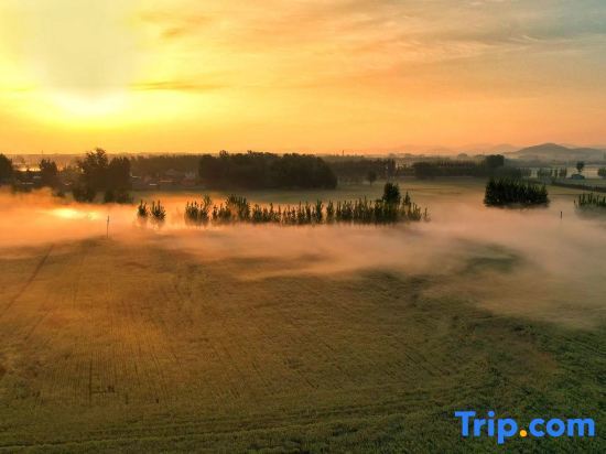 Цзинин: Hampton by Hilton Jining  Innovation Valley