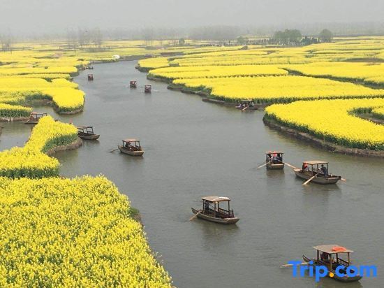 Тайчжоу: Crystal Orange Hotel Taizhou Maoye Tiandi