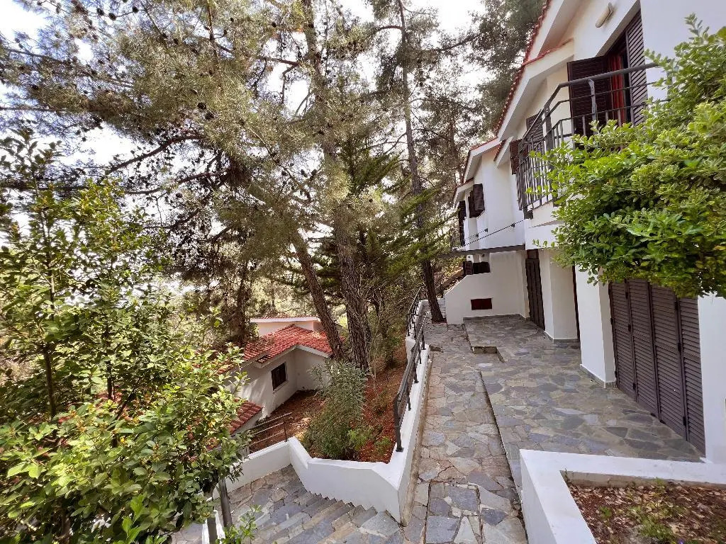 Платрес: Poed Residence