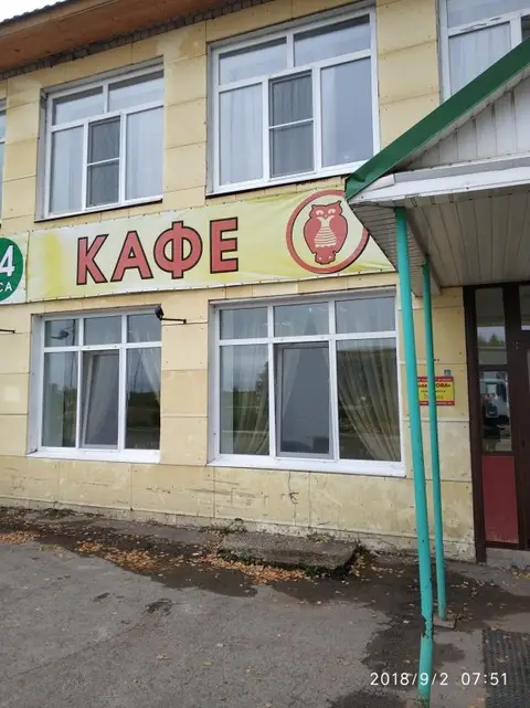 Сова — фото 1