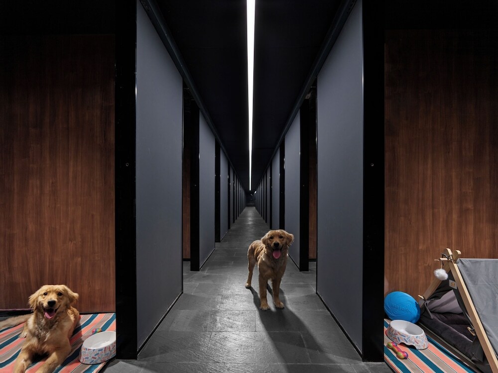 Чэнду: Angsana Chengdu Wenjiang