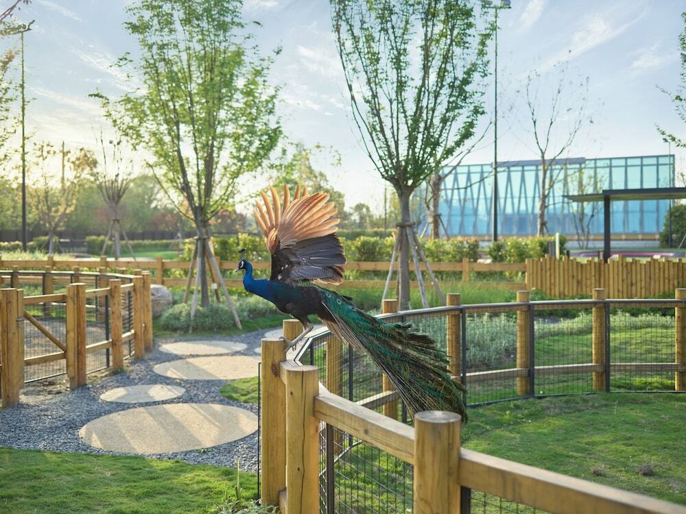Чэнду: Angsana Chengdu Wenjiang