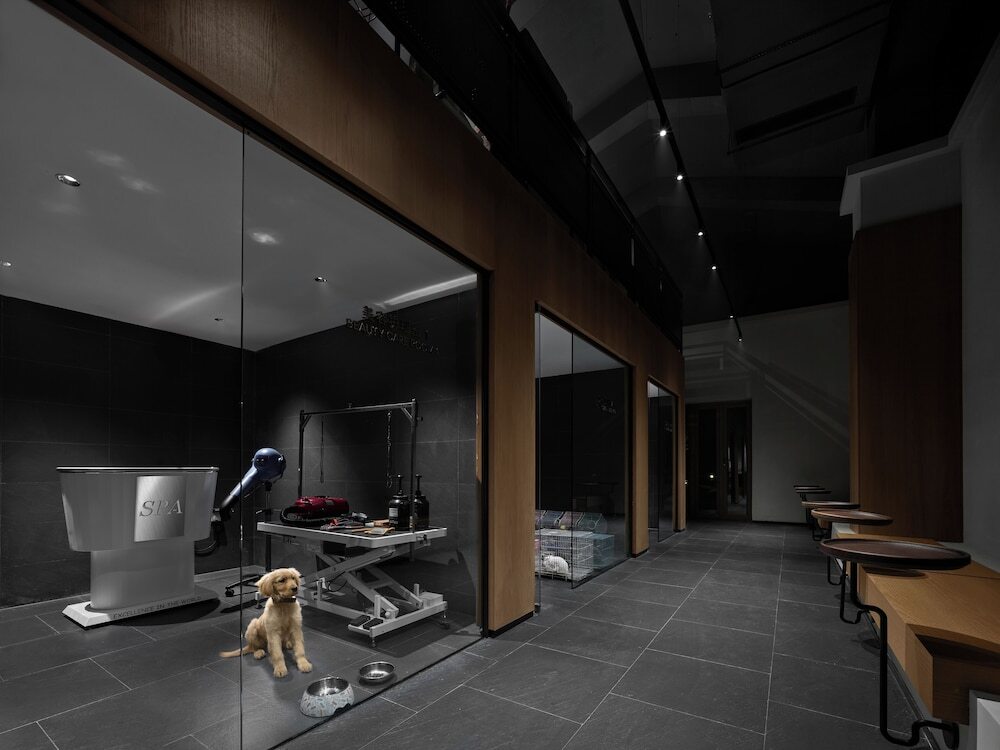 Чэнду: Angsana Chengdu Wenjiang
