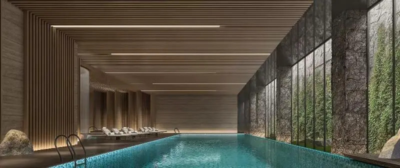 Нанкин: Hilton Nanjing Niushoushan