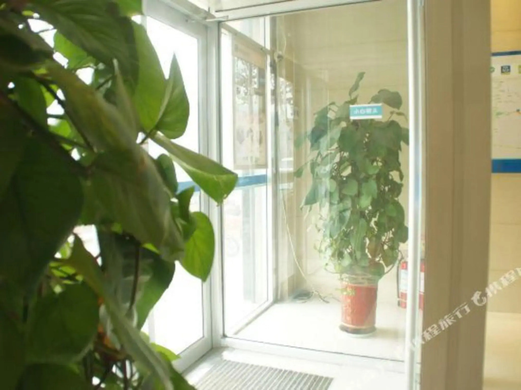 Синтай: Panlong 365 Chain Hotel (Longming Kangzhuang Road Shop)