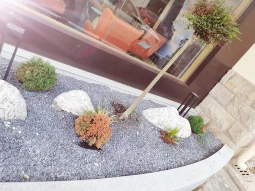 Чанчжоу: M Hotel Changzhou Spring and Autumn Yancheng