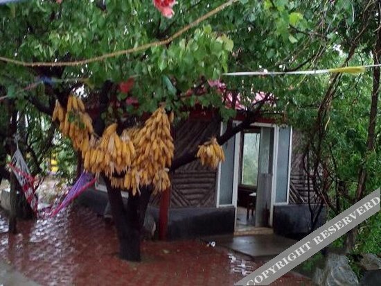 Линьи: Linyi Monsanto Quanyuan Farmstay