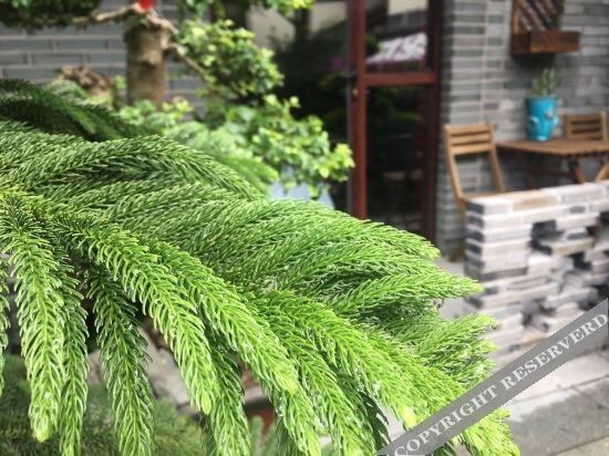 Ханчжоу: Zhangshe Courtyard Hotel