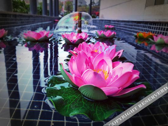 Чжучжоу: Shanyueshan Hotel