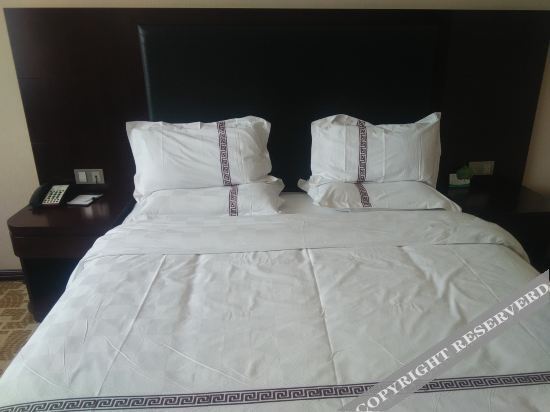 Сяньян: Golden Holiday Inn Qianxian